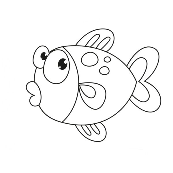 PYO Fish - 8.5cm Square - Image 3