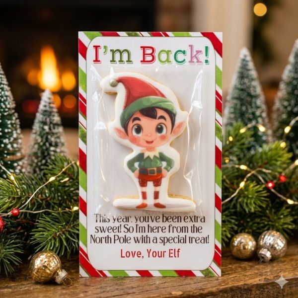 I'm Back Elf on the shelf